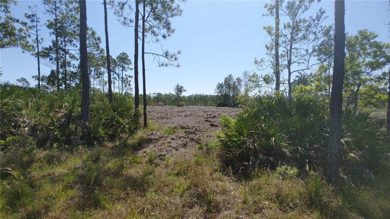 Photo 4 of 1001 Omega Ranch Rd #16, New Smyrna Beach, FL 32168
