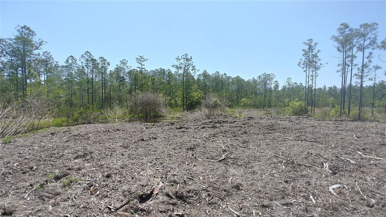Photo 5 of 1001 Omega Ranch Rd #16, New Smyrna Beach, FL 32168