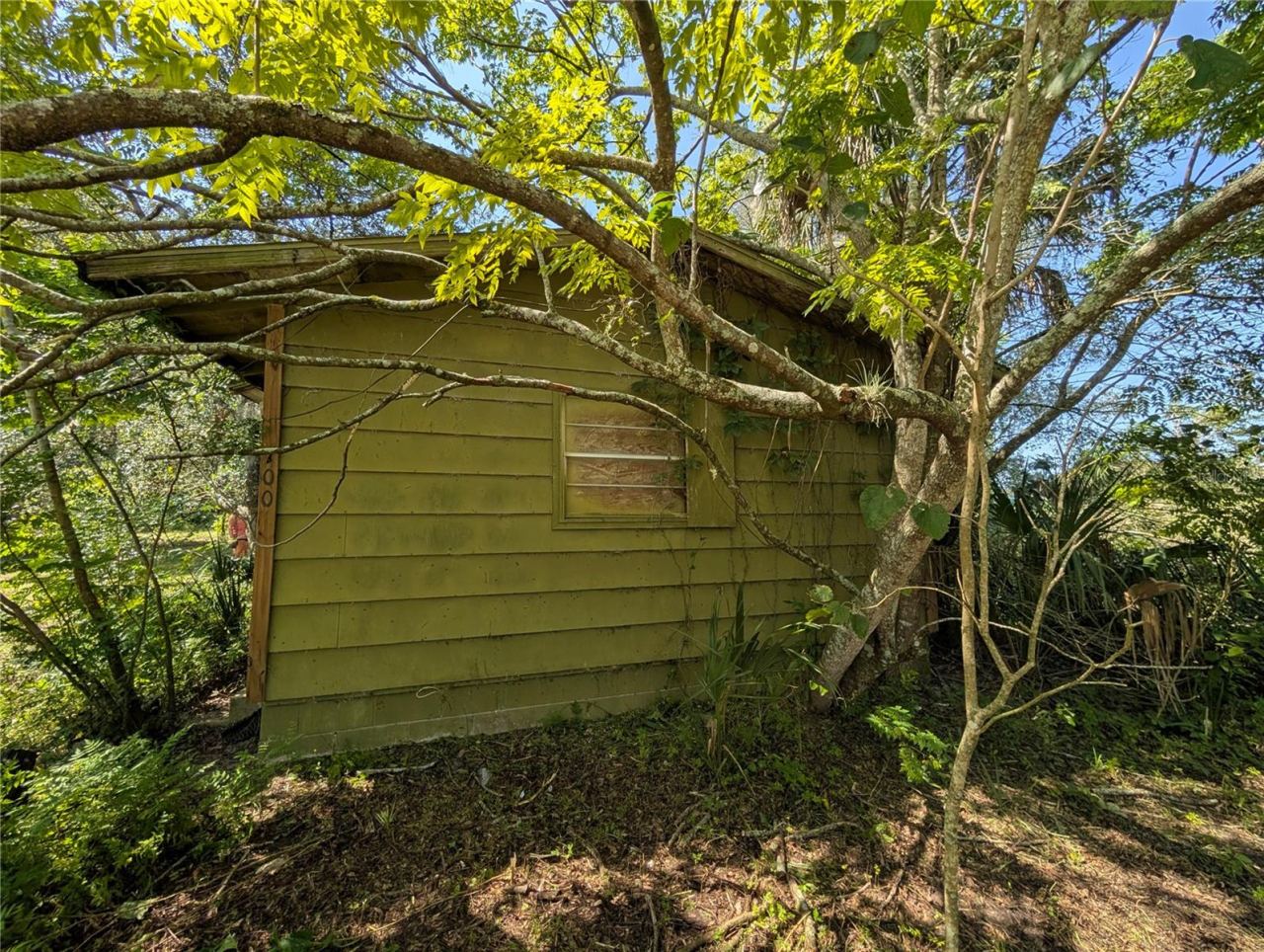 Photo 4 of 700 Grant Ave, Deland, FL 32724