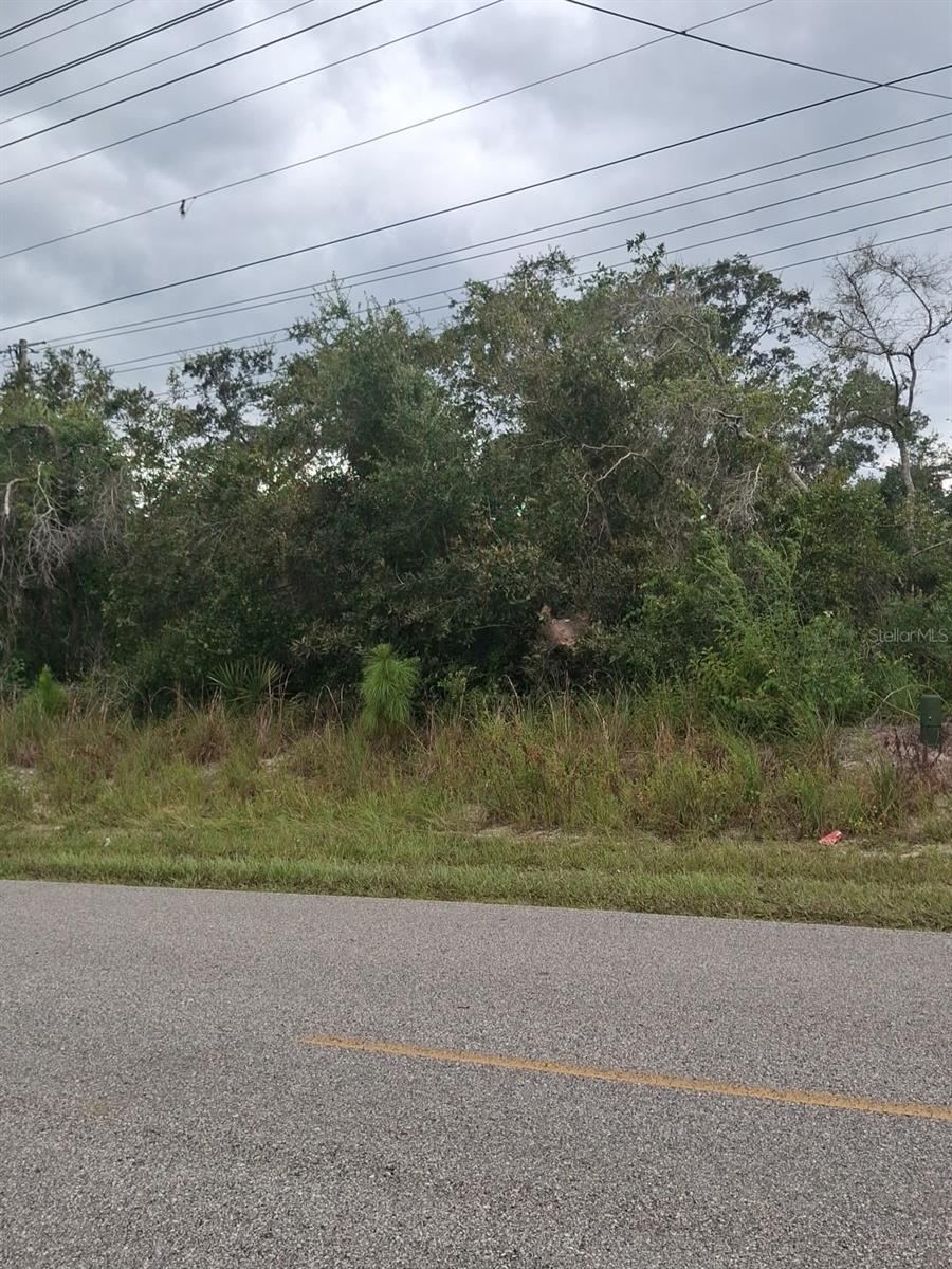 Photo 4 of Sixma Rd, Deltona, FL 32738