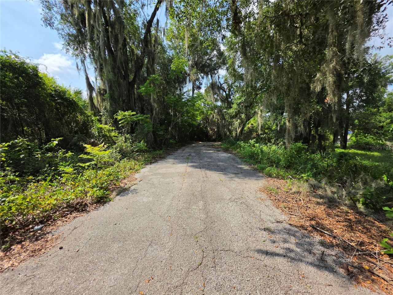 Photo 4 of 0 West Plymouth Ave, Deland, FL 32720