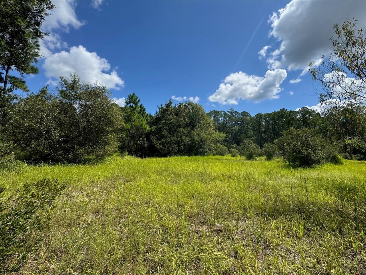 Photo 4 of 2750 Big John Dr, Deland, FL 32724