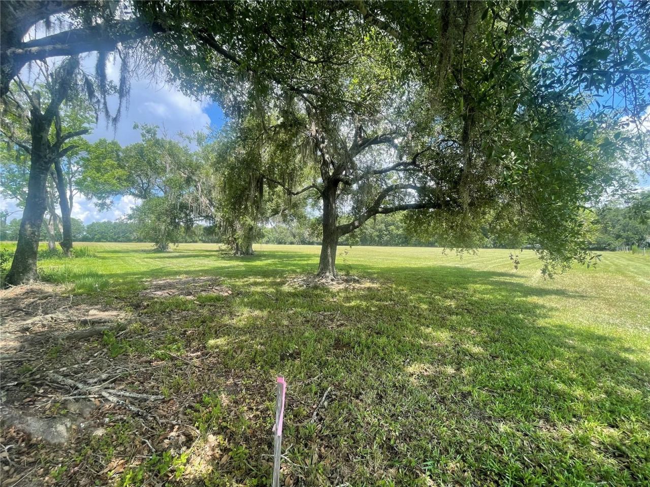 Photo 4 of N/a, Bunnell, FL 32110
