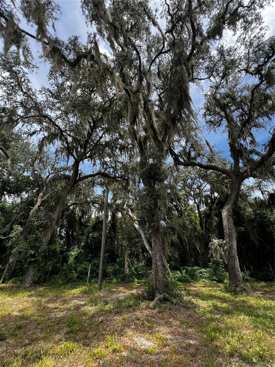 Photo 4 of 106 Planet Dr, Crescent City, FL 32112