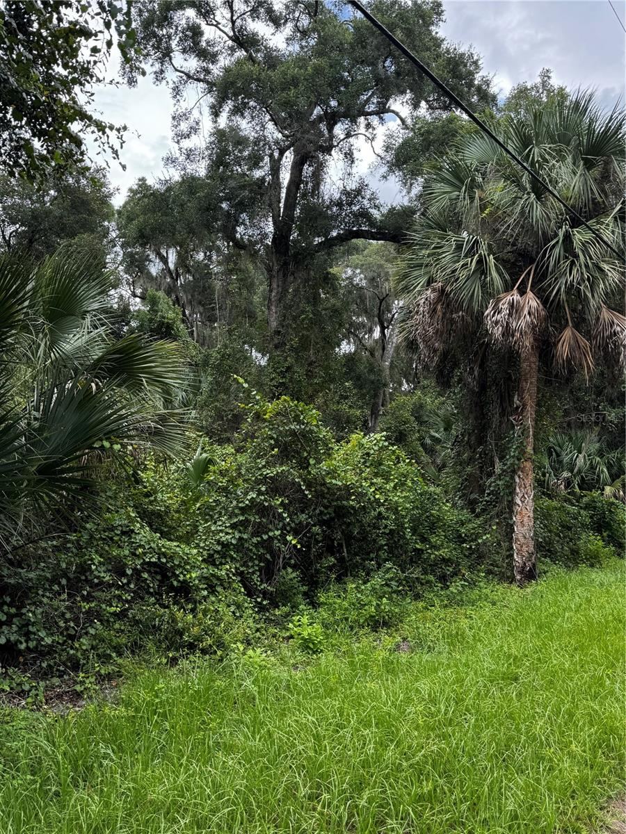 Photo 5 of 1423 Lemon St, Deland, FL 32720