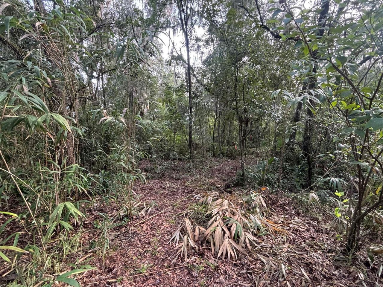 Photo 4 of 190 She She Rd, Hawthorne, FL 32640
