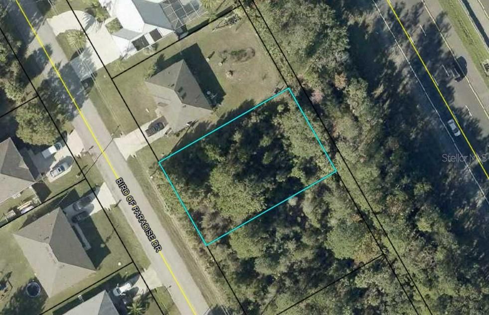 Photo 2 of 152 Bird Of Paradise Dr, Palm Coast, FL 32137