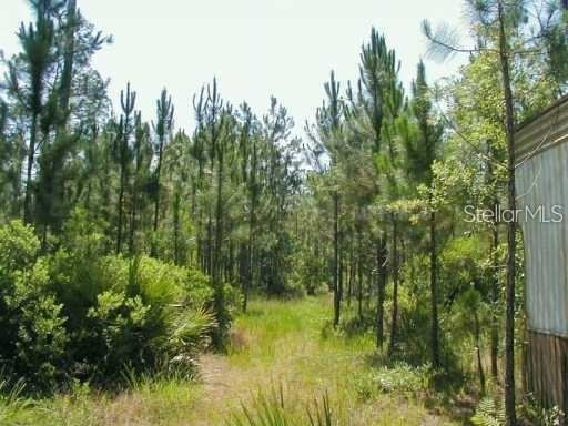 Photo 3 of 323 Old Bubbly Rd, Pierson, FL 32180