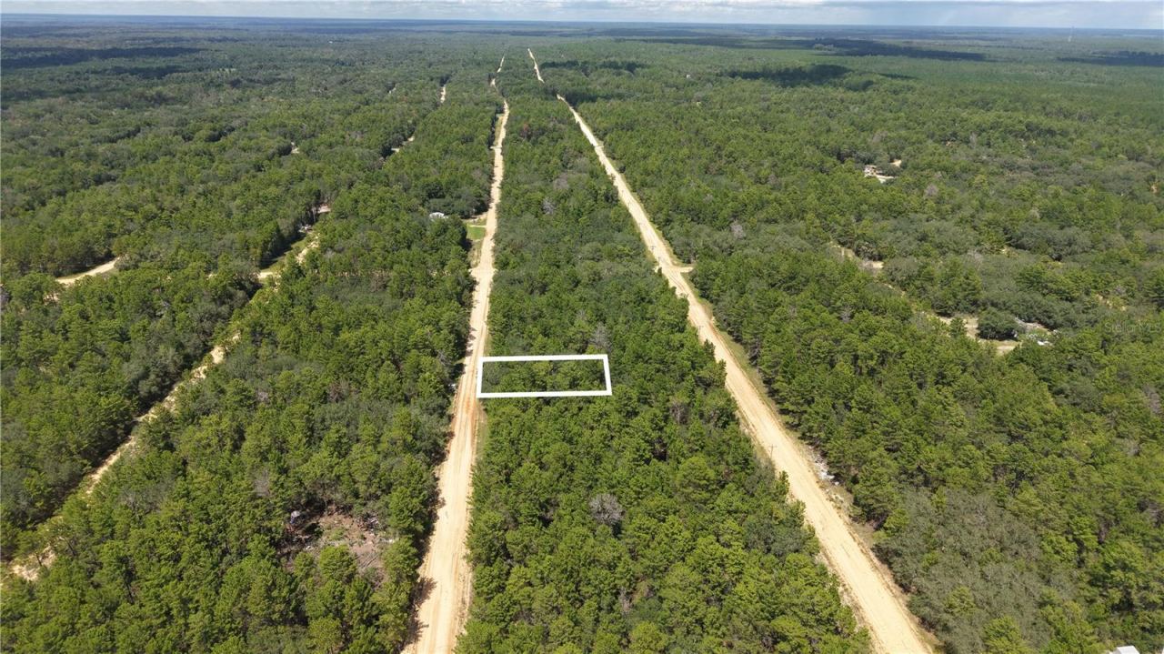 Photo 5 of Neilsen Ave, Interlachen, FL 32148