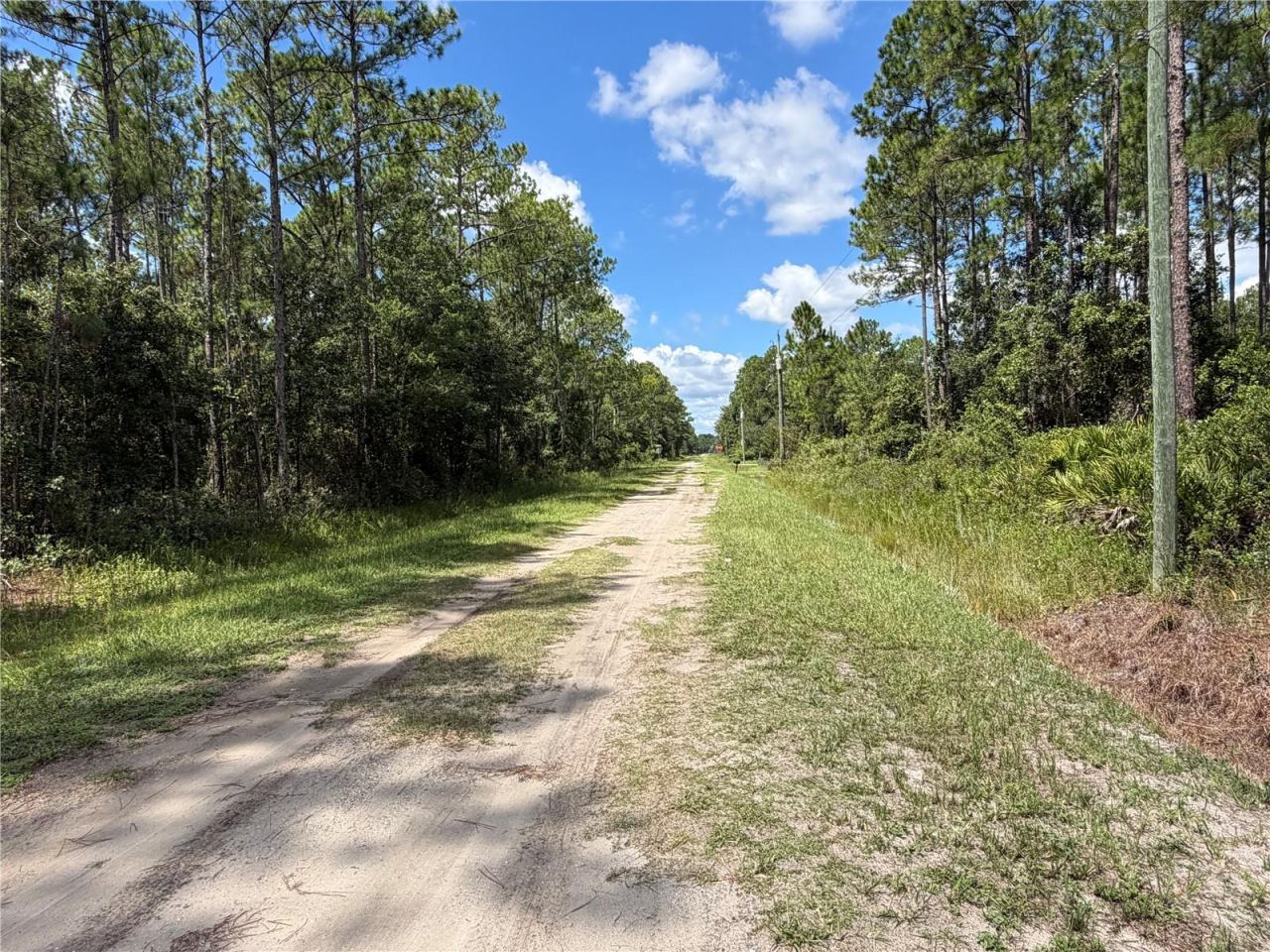 Photo 4 of 4265 Gladys St, Hastings, FL 32145