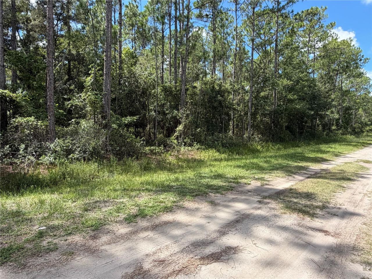 Photo 5 of 4265 Gladys St, Hastings, FL 32145