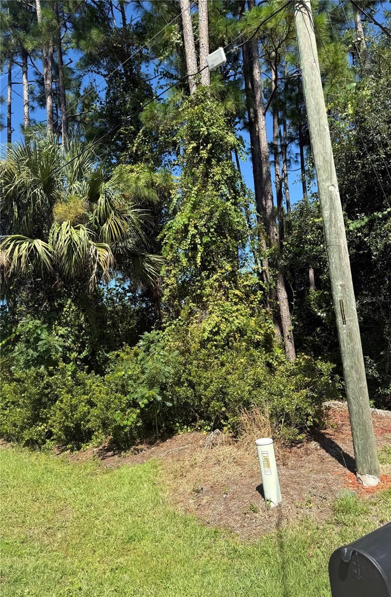 Photo 5 of 55 Ryecliffe Dr, Palm Coast, FL 32164