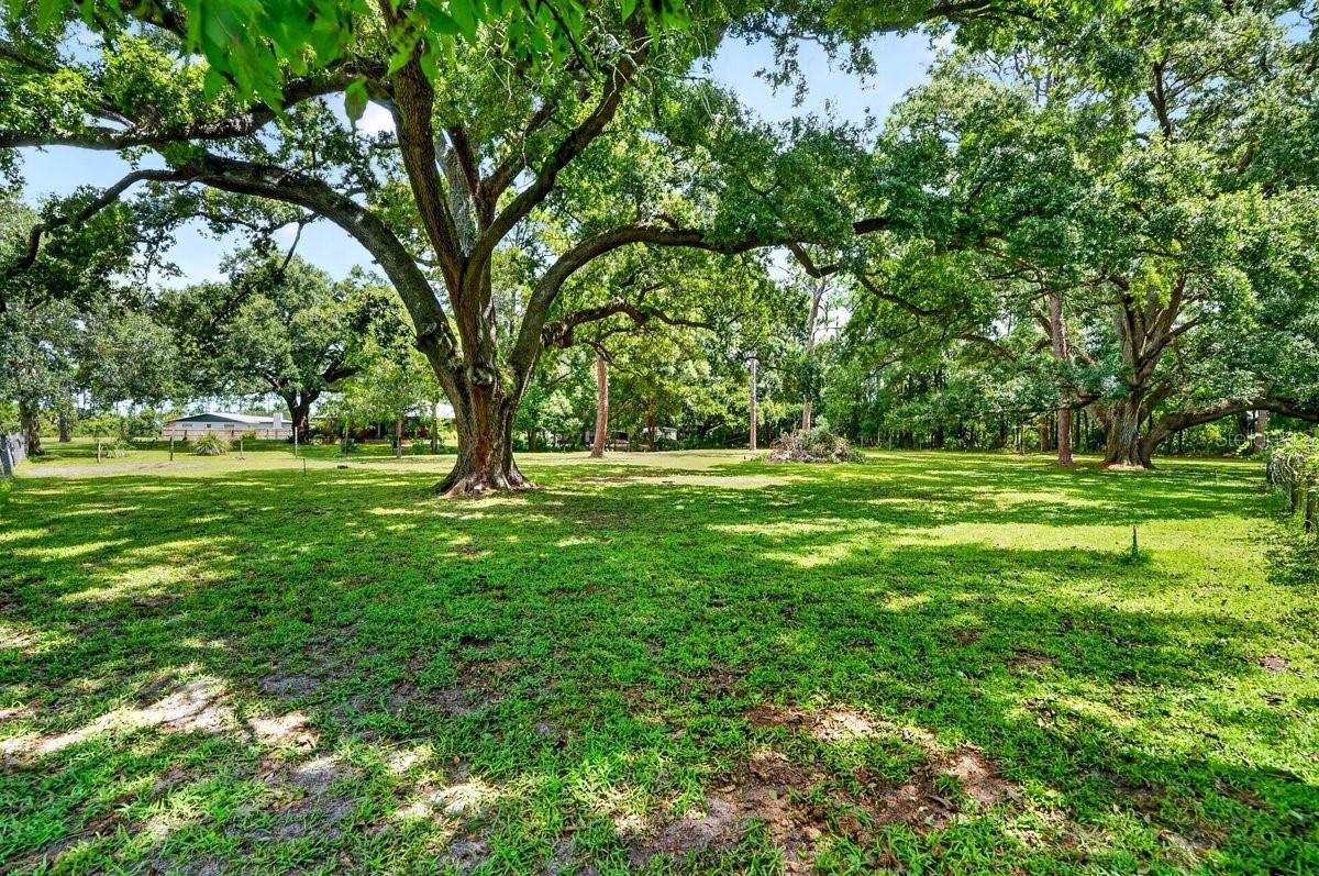 Photo 4 of 779 Timothy St, Ormond Beach, FL 32174