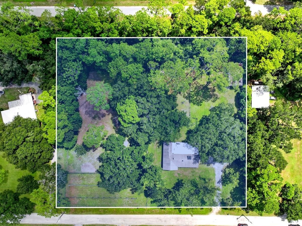 Photo 5 of 779 Timothy St, Ormond Beach, FL 32174