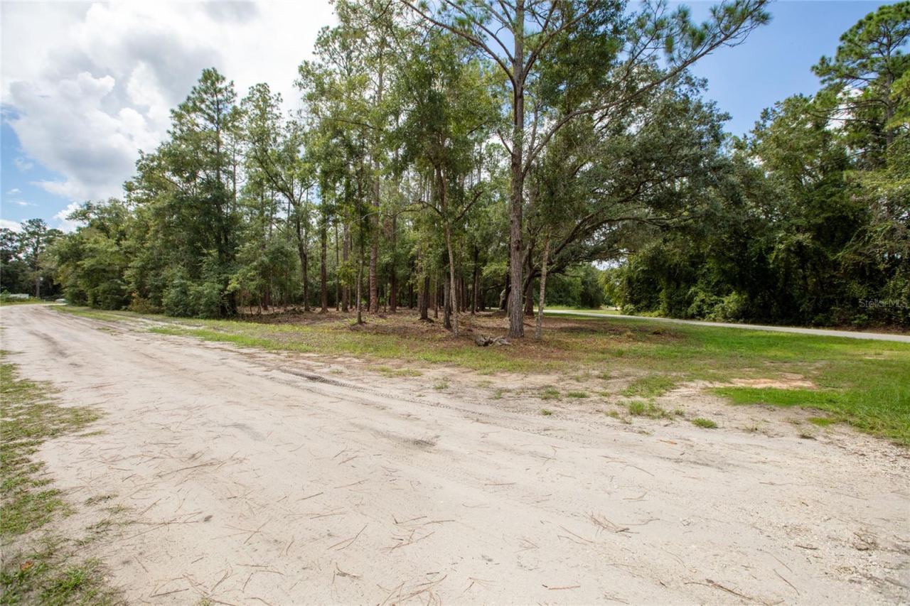 Photo 4 of W Hillsborough Ave, Florahome, FL 32140