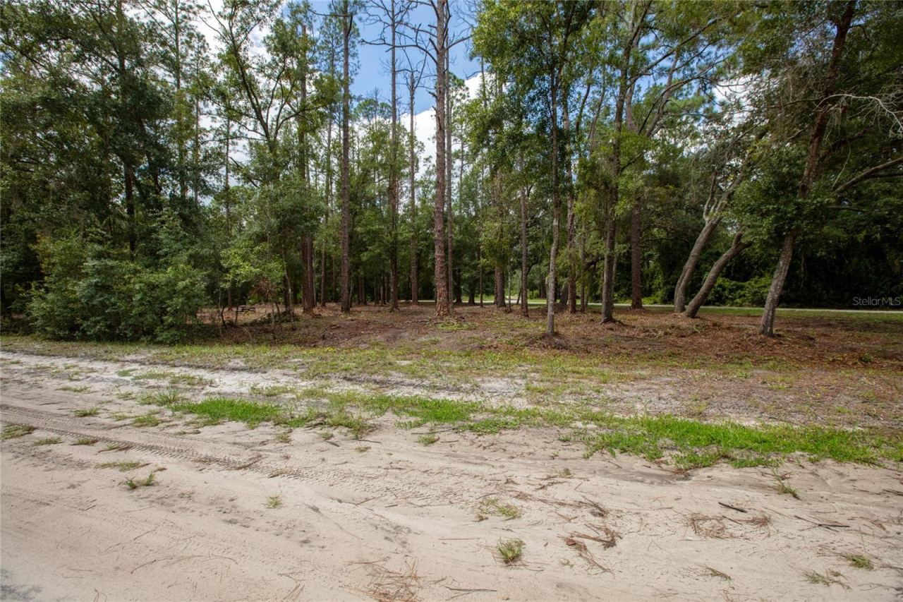 Photo 5 of W Hillsborough Ave, Florahome, FL 32140