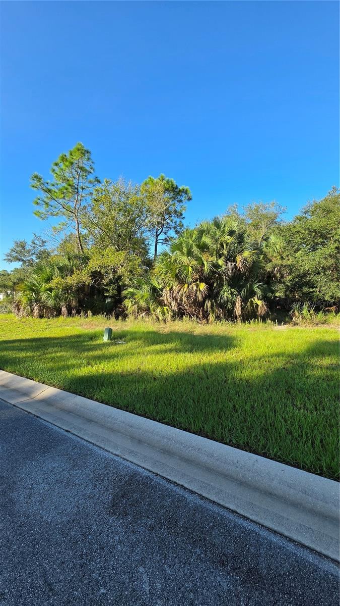 Photo 5 of 57 S Old Oak Dr, Palm Coast, FL 32137