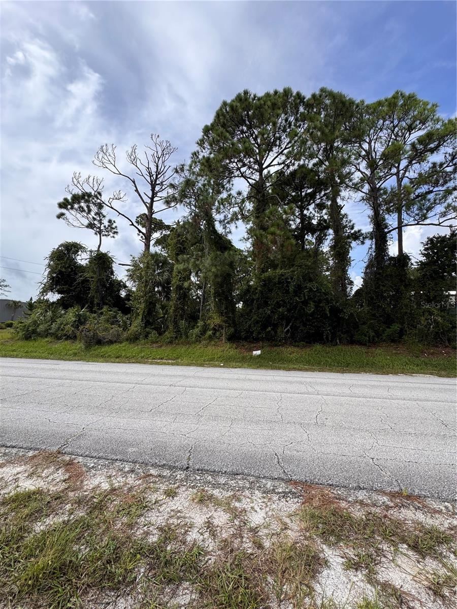 Photo 5 of 2330 Hibiscus Dr, Edgewater, FL 32141