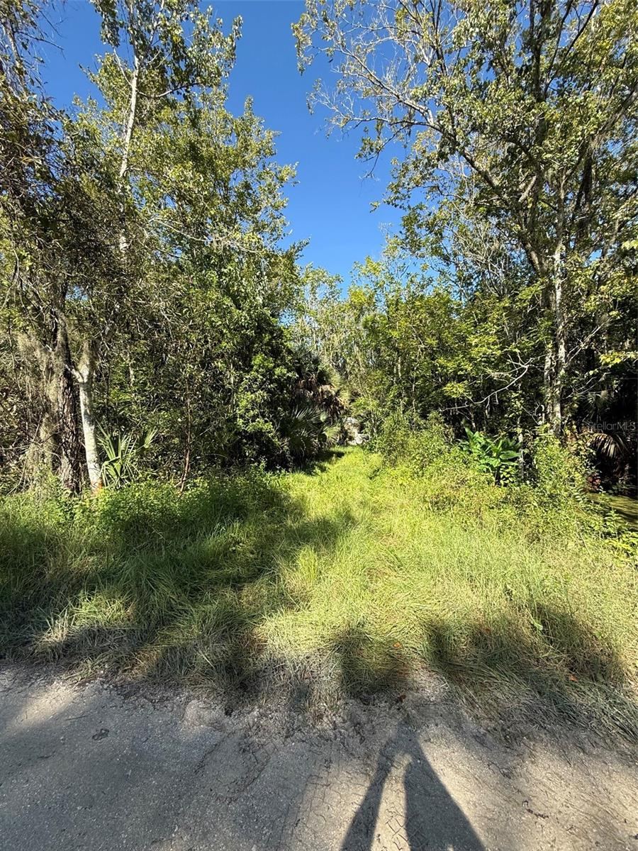 Photo 4 of 1785 Maplewood Dr, Edgewater, FL 32132