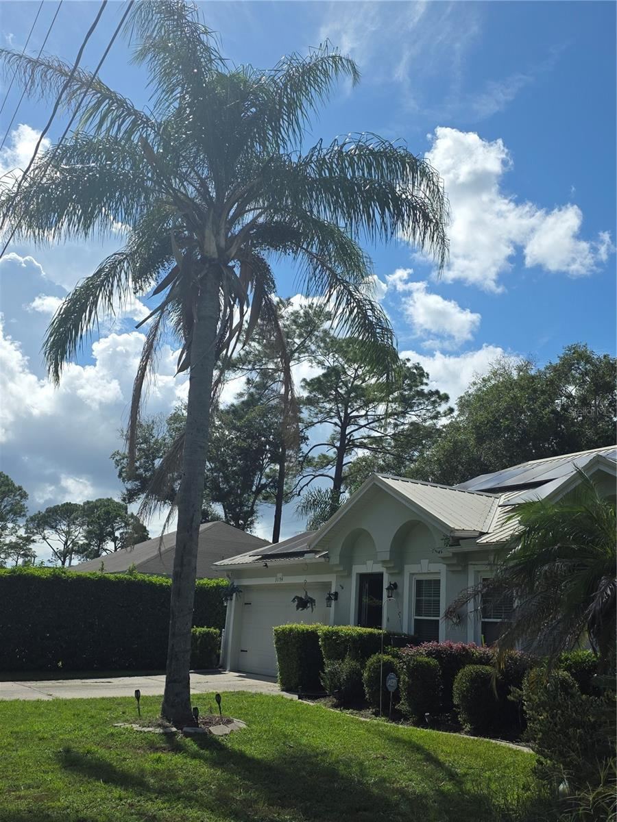 Photo 5 of 3154 Snow Dr, Deltona, FL 32738