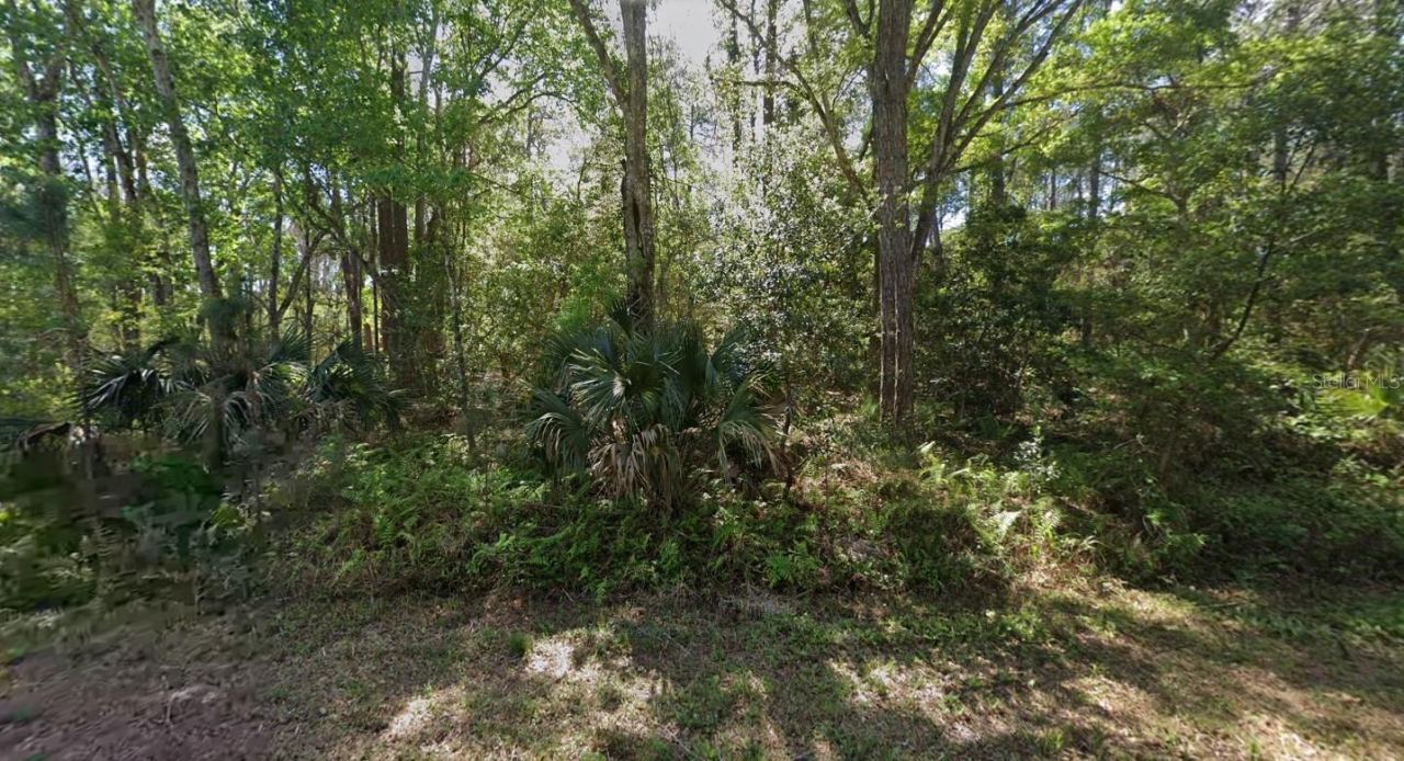 Photo 4 of 423 Dogwood Ave, Georgetown, FL 32139