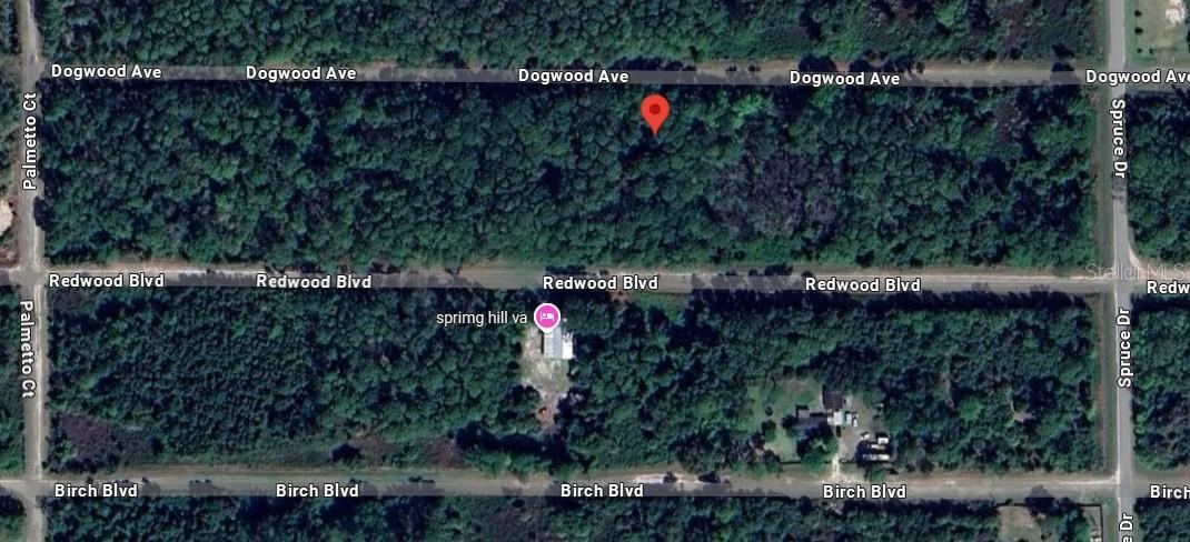 Photo 5 of 423 Dogwood Ave, Georgetown, FL 32139