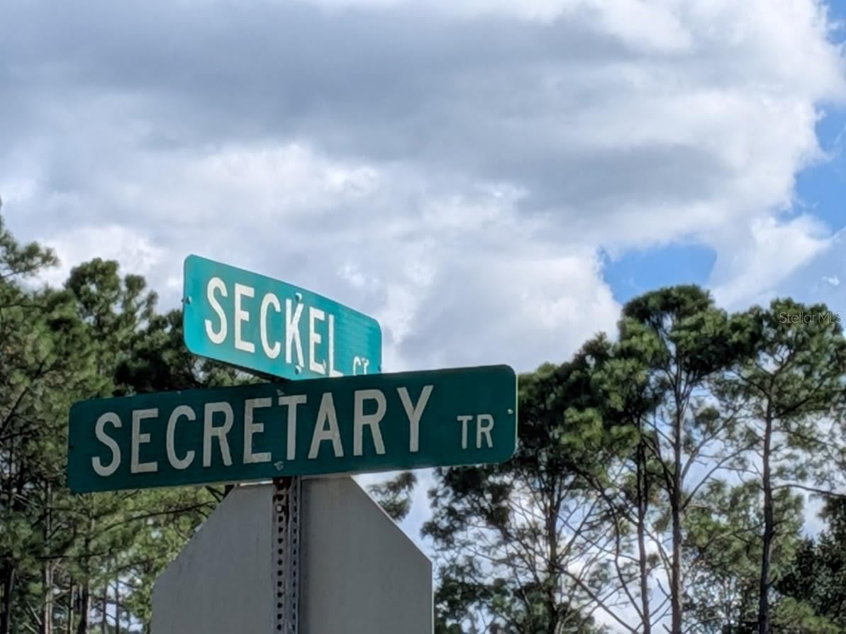 Photo 2 of 7 Seckel Ct, Palm Coast, FL 32164