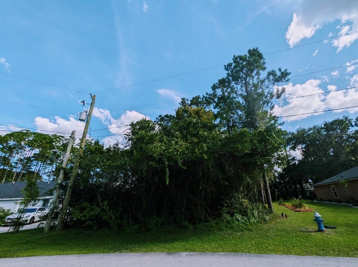 Photo 5 of 7 Seckel Ct, Palm Coast, FL 32164