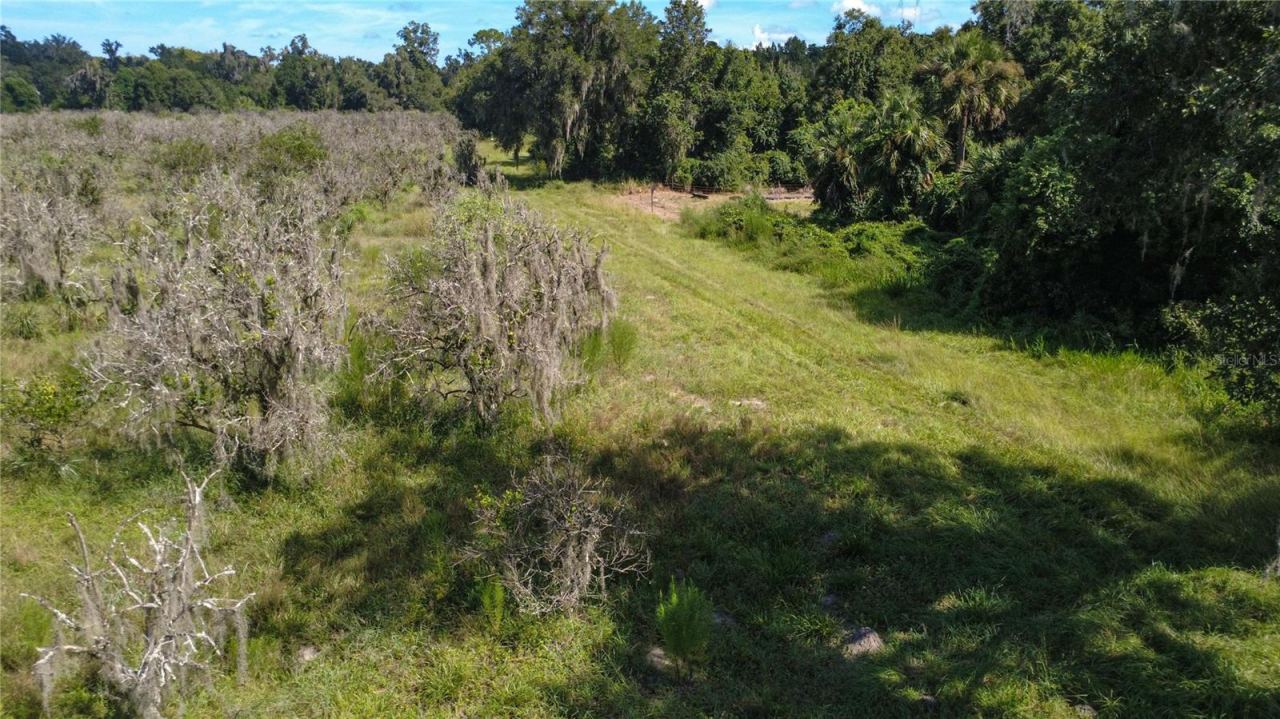 Photo 5 of Holly Hammock Rd, De Leon Springs, FL 32130