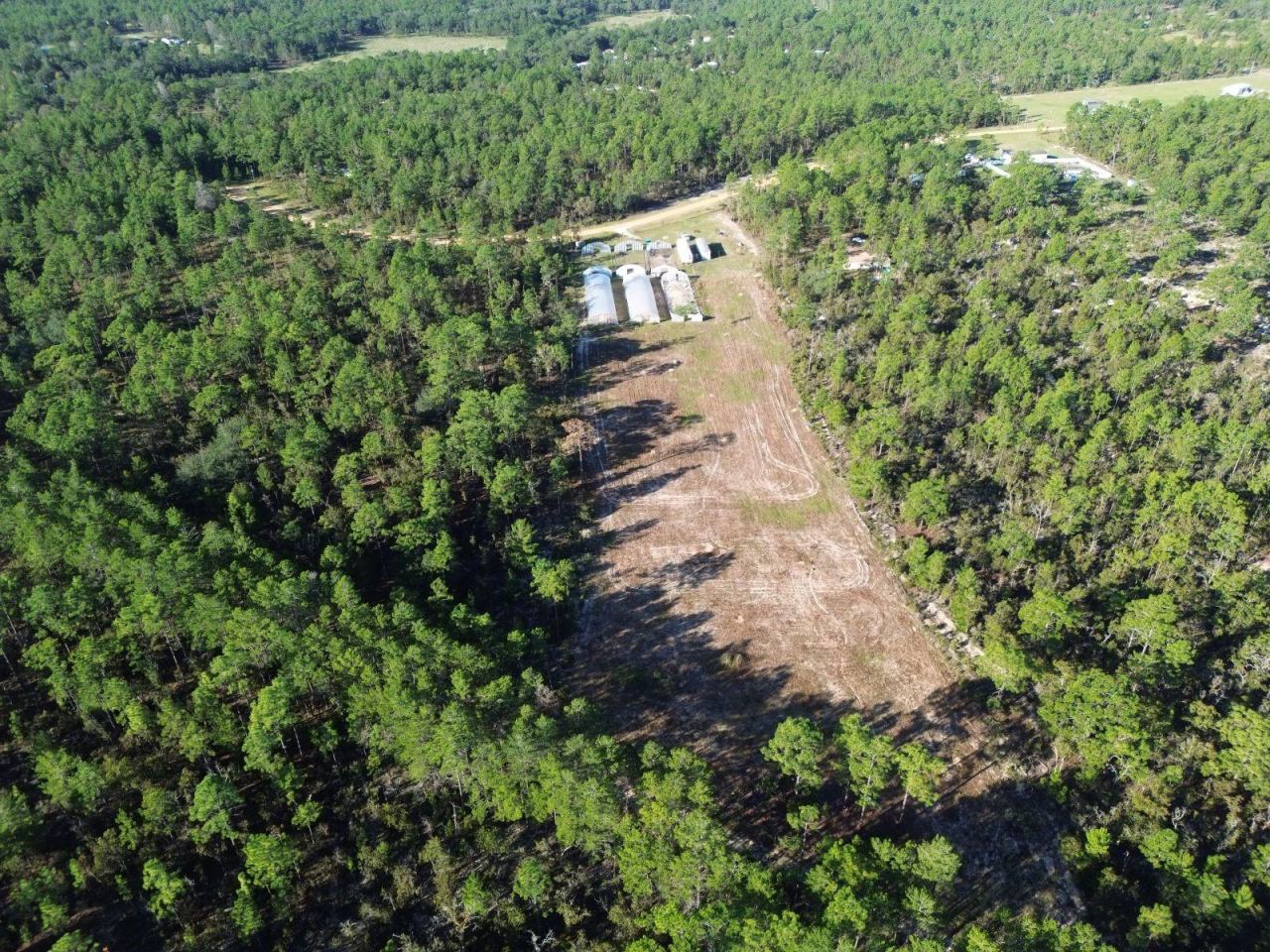 Photo 4 of 230 Cessna Way, Hawthorne, FL 32640