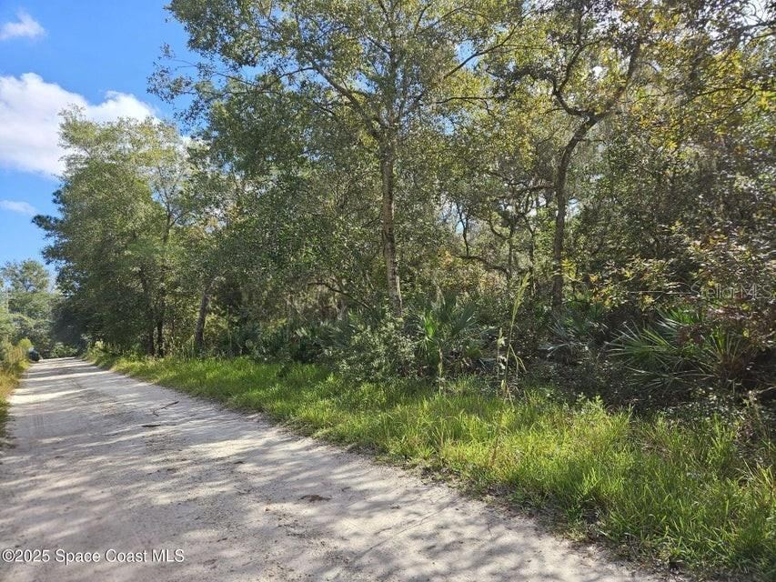 Photo 5 of 4600 Beacon Light Rd, Edgewater, FL 32141