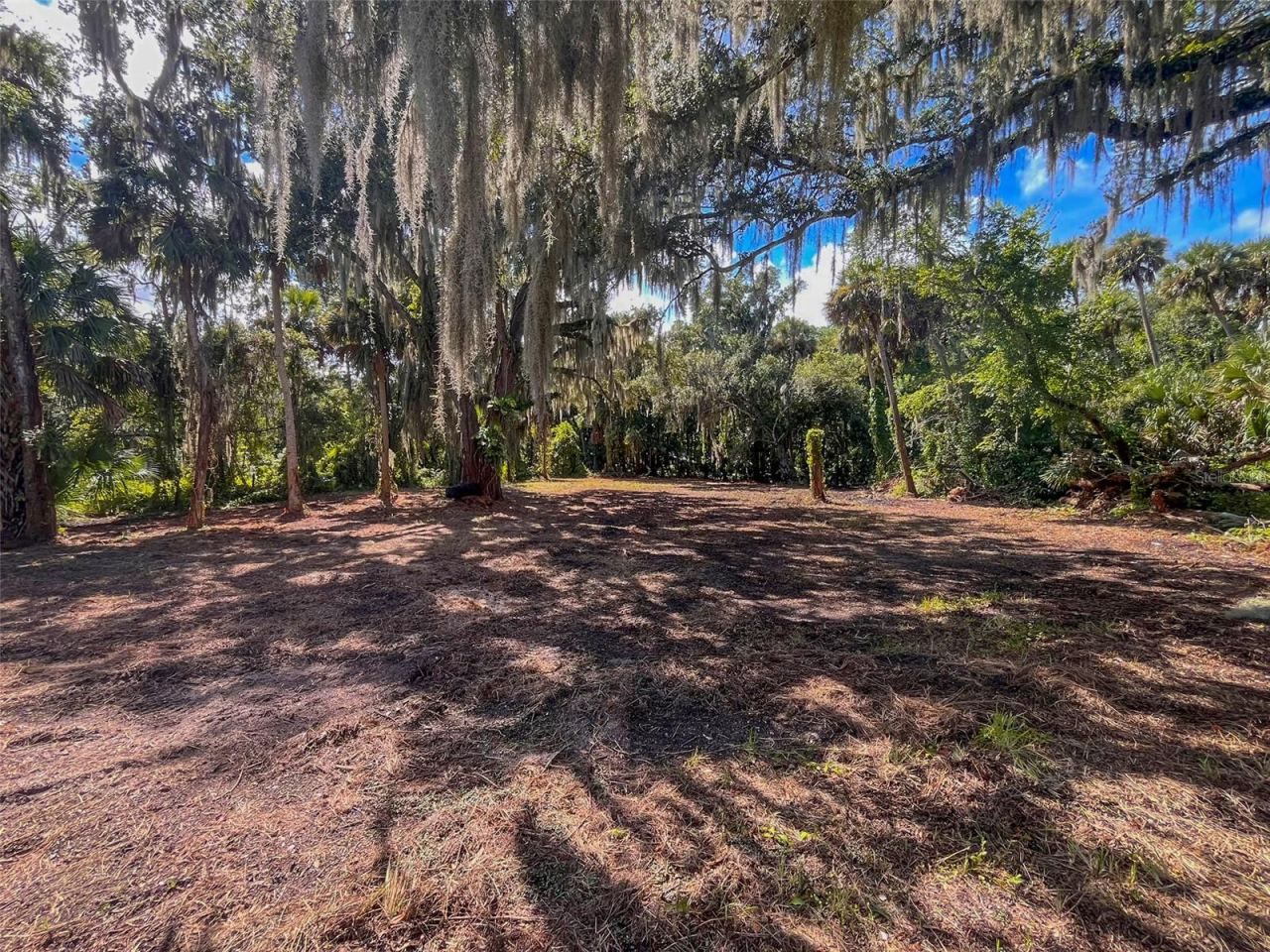 Photo 4 of 320 Ingham Rd, New Smyrna Beach, FL 32168