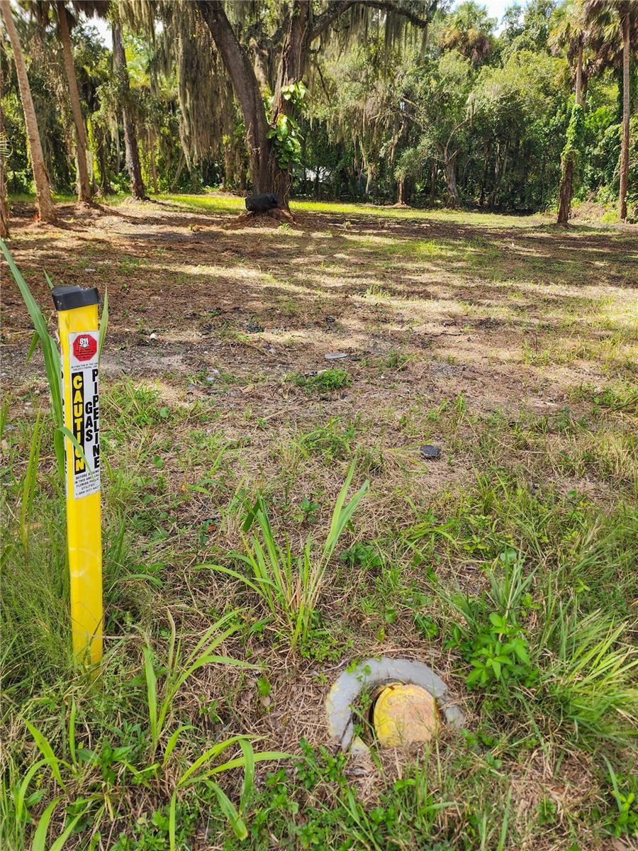 Photo 5 of 320 Ingham Rd, New Smyrna Beach, FL 32168