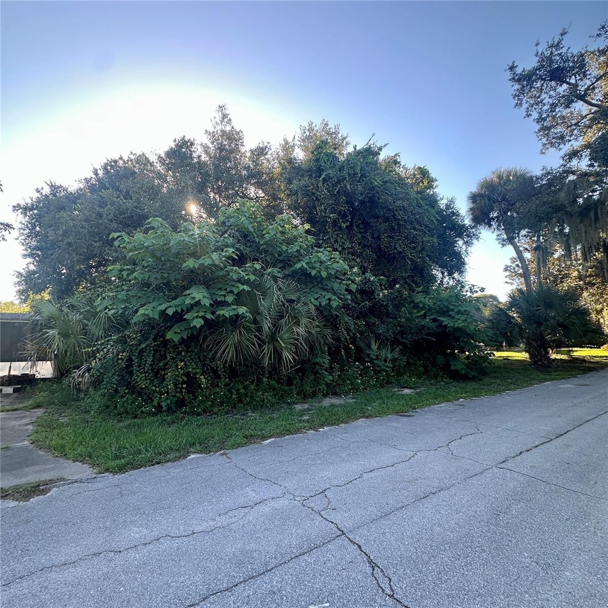 0 Oak St, Oak Hill, FL 32759