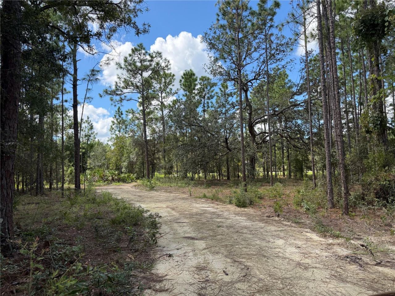 Photo 4 of 164 Melrose Landing Blvd, Hawthorne, FL 32640