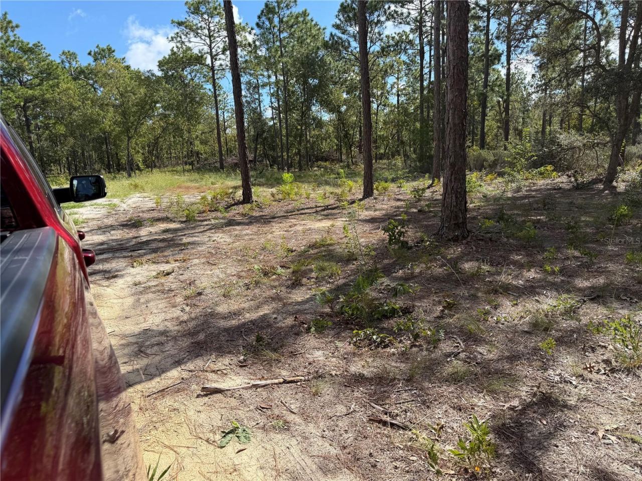 Photo 5 of 164 Melrose Landing Blvd, Hawthorne, FL 32640