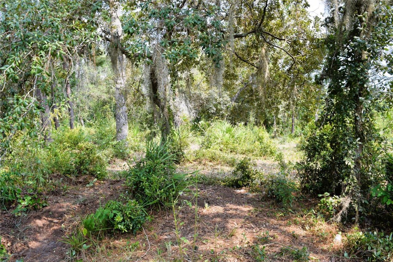 Photo 4 of 625 Lake Butler Ave, Osteen, FL 32764