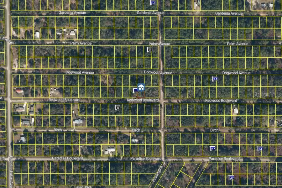 Photo 4 of 334 Redwood Blvd, Georgetown, FL 32139