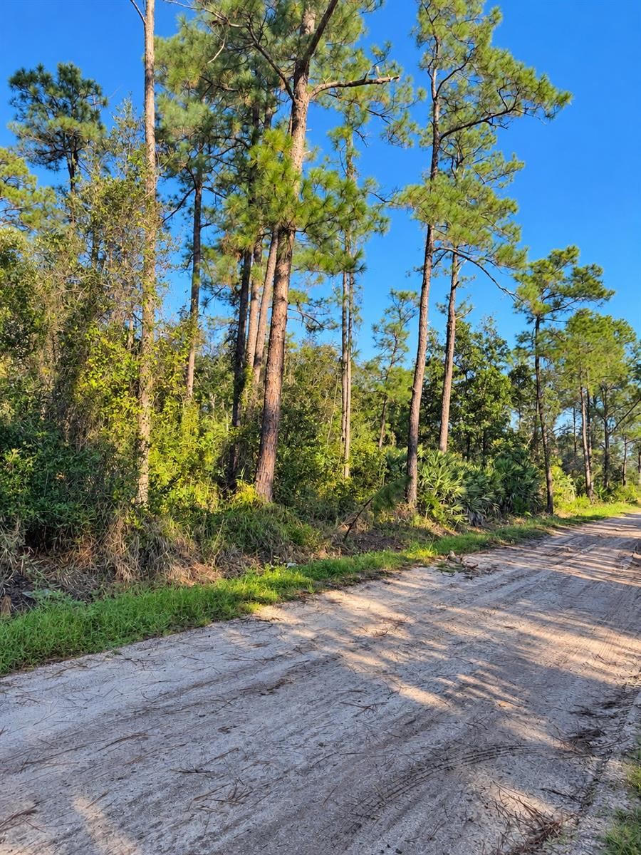 Photo 4 of 10th Ave, Deland, FL 32724
