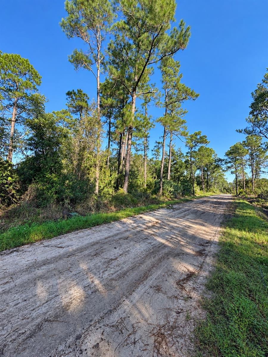 Photo 5 of 10th Ave, Deland, FL 32724