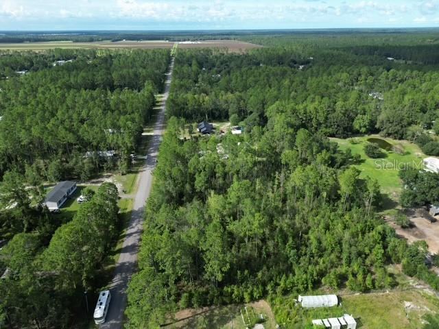 Photo 4 of 9810 Crotty Ave, Hastings, FL 32145
