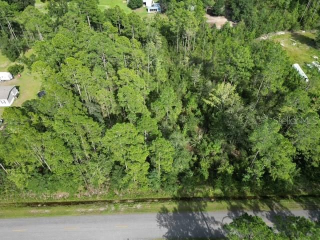 Photo 5 of 9810 Crotty Ave, Hastings, FL 32145