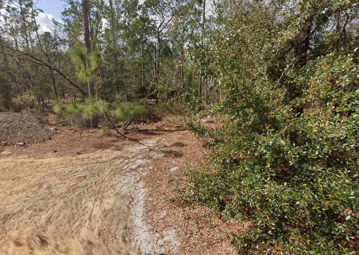Photo 5 of Palm St, Interlachen, FL 32148