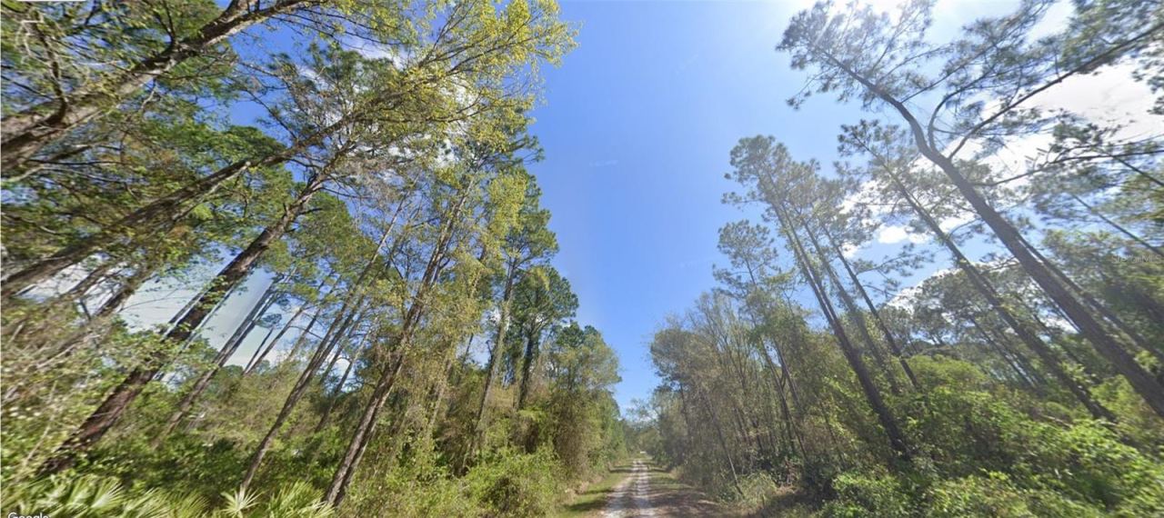 Photo 4 of 217 Dogwood Ave, Georgetown, FL 32139