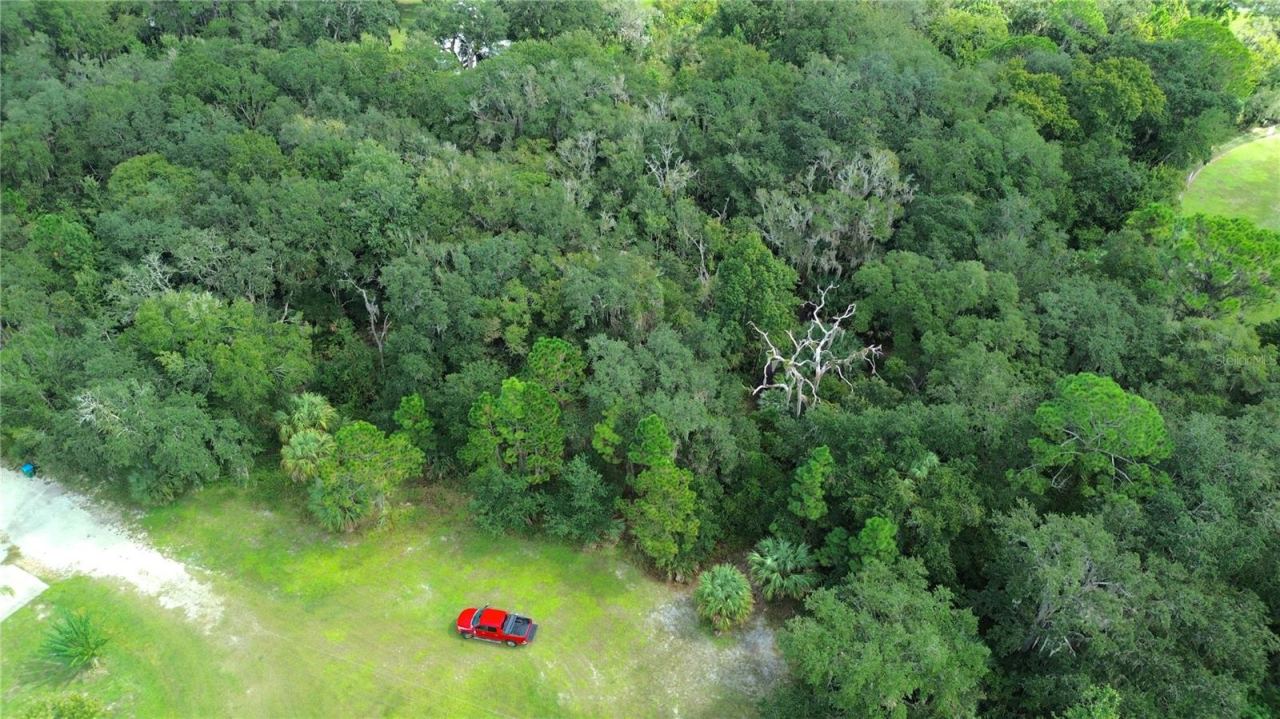 Photo 5 of , Oak Hill, FL 32759