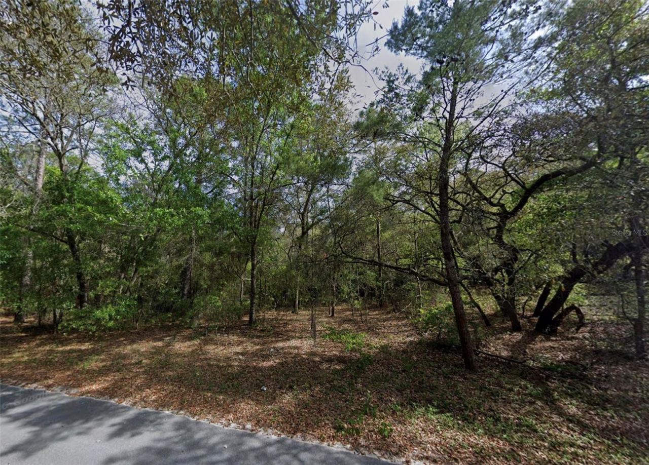 Photo 2 of 139 Silver Beach Blvd, Pomona Park, FL 32181