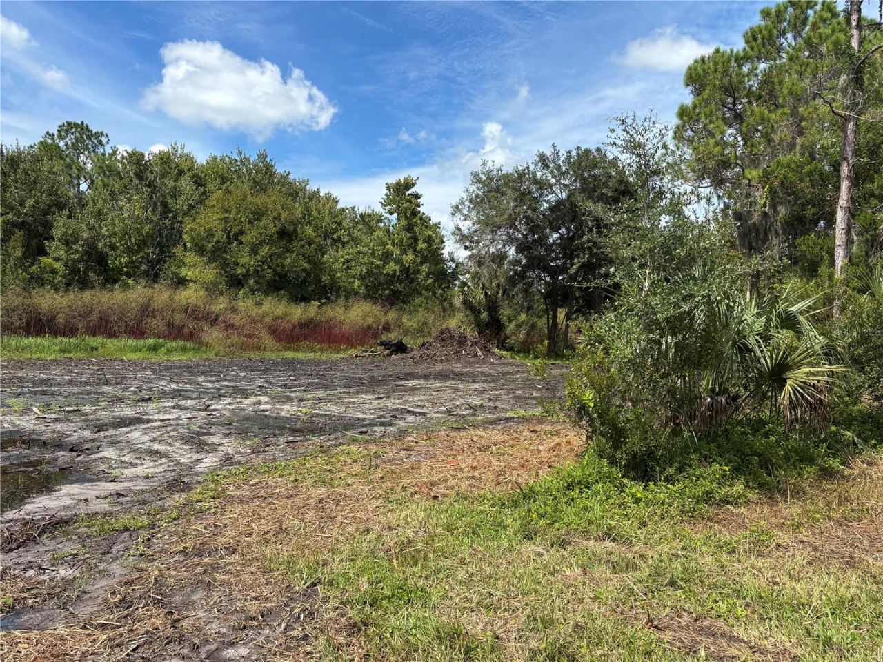 Photo 5 of 864 Rasley Rd, New Smyrna Beach, FL 32168