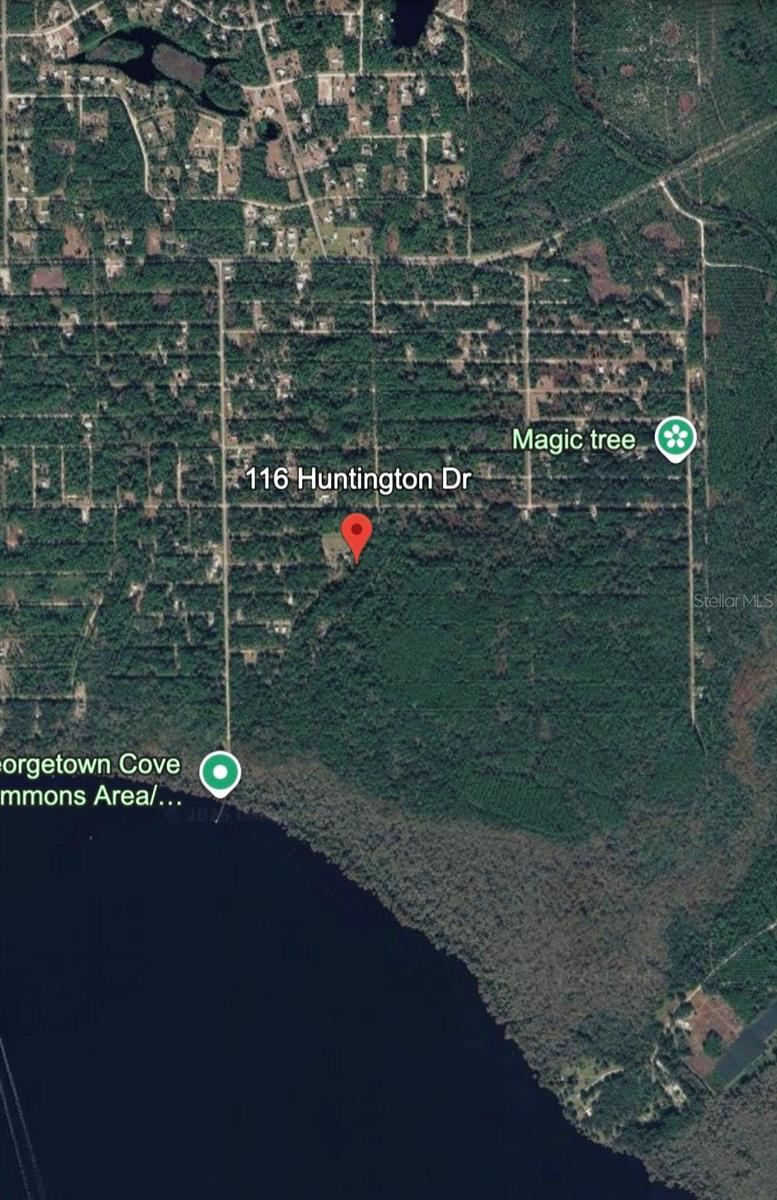 Photo 5 of 116 Huntington Dr, Georgetown, FL 32139
