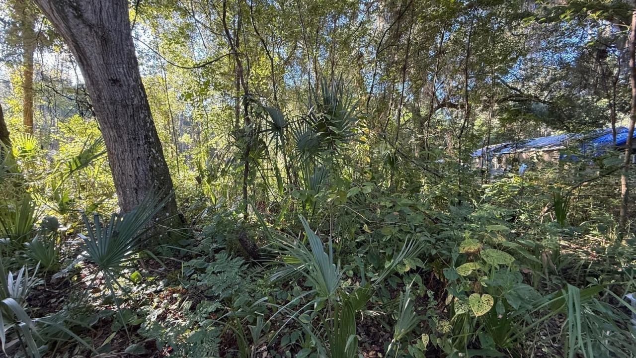 Photo 4 of 107 1st St, Crescent City, FL 32112