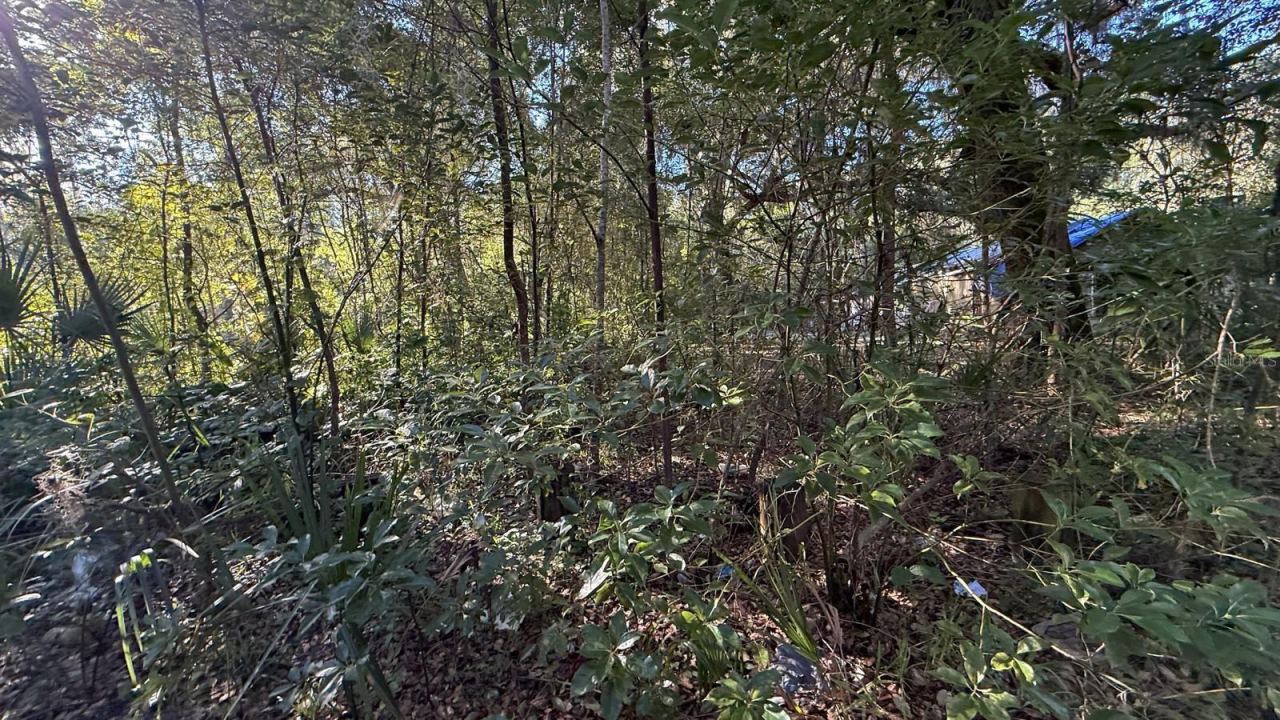 Photo 5 of 107 1st St, Crescent City, FL 32112